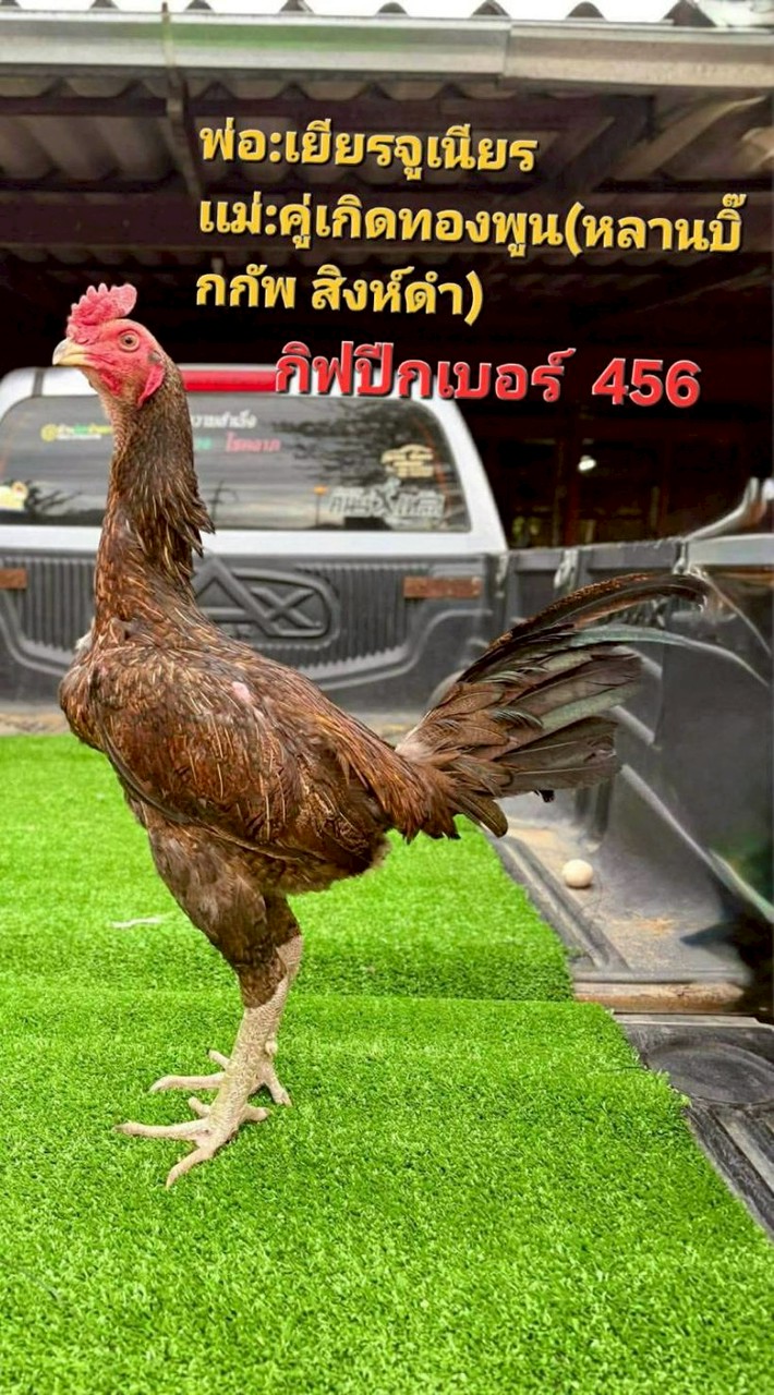 ก.นำโชค ร้อยเอ็ด