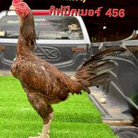 ก.นำโชค ร้อยเอ็ด