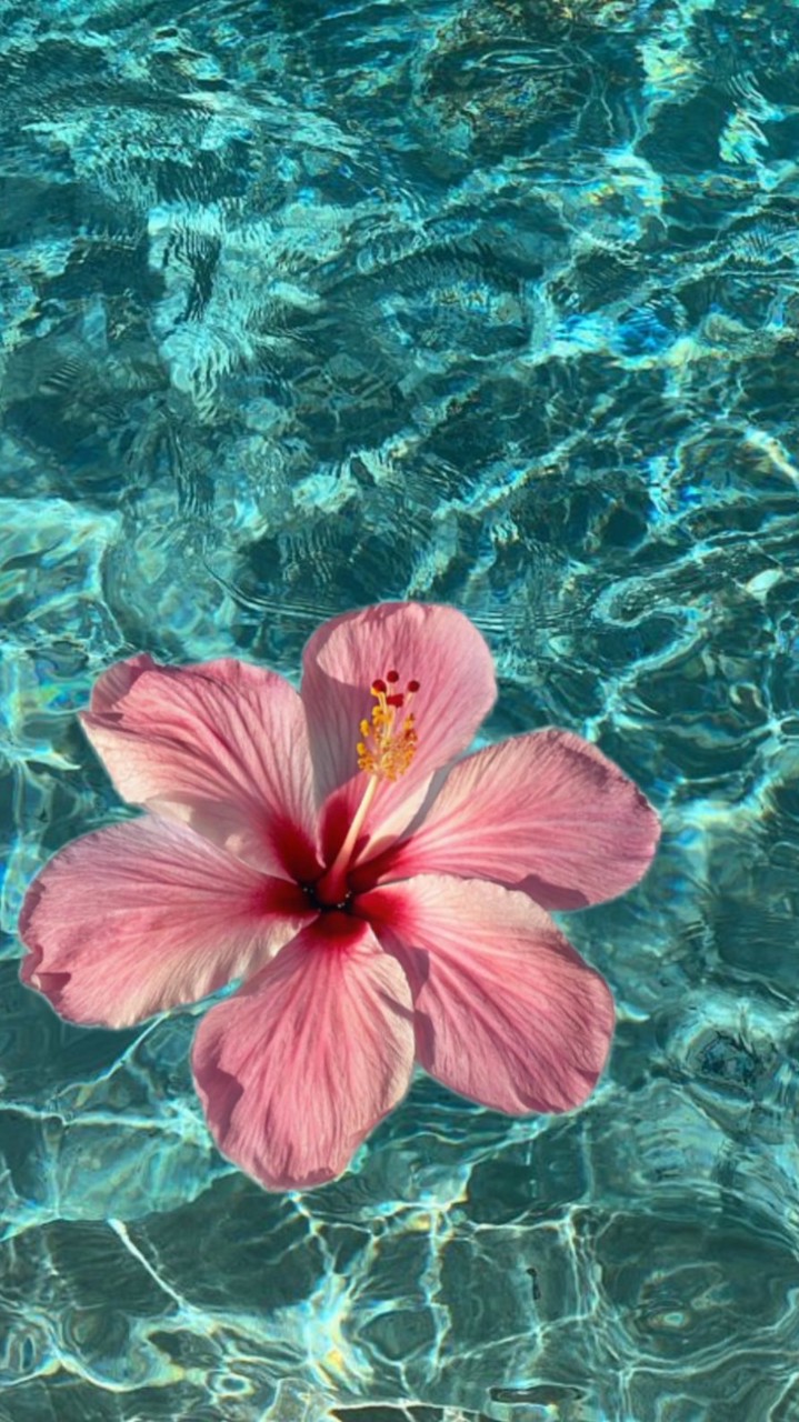 เรื่องเงินๆ ยืมเงิน🌺