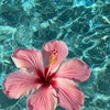 เรื่องเงินๆ ยืมเงิน🌺