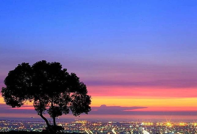 ▲台中九天夕陽之樹。（圖/IG @david.lan1）