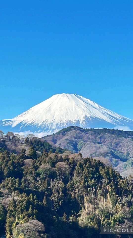 🔰シニア女子（関東近郊）低山🏔️