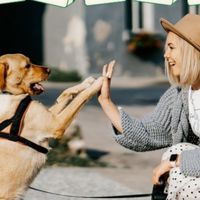動物倶楽部