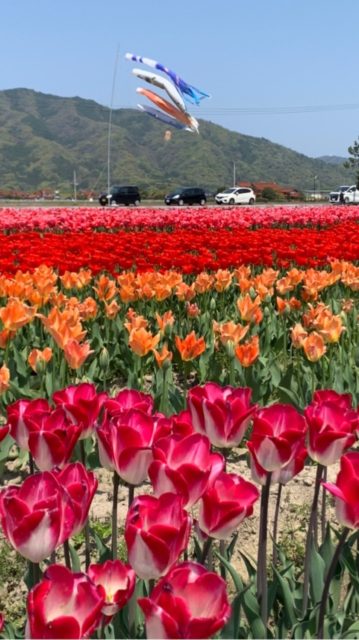 あつまれライトワーカー島根県🌈まつりっくす⛩のオープンチャット