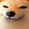シバコ界隈集まれ！