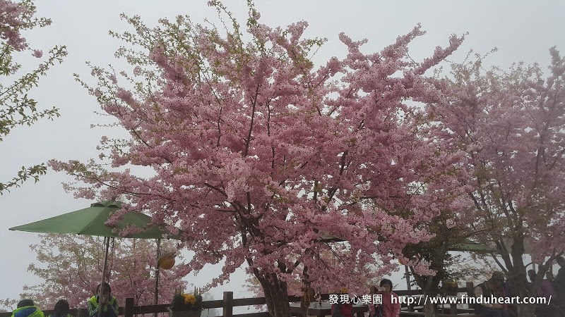 20150309_102104