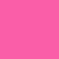 สีชมพู 2569