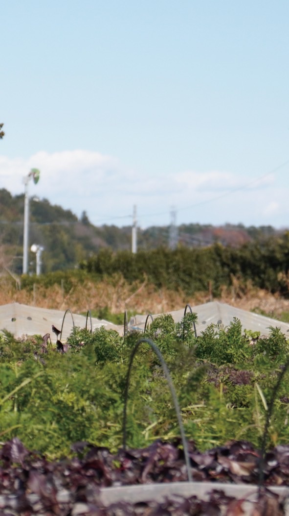 TKG FESTA 2026 農家ブース