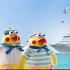 23卒ドコモ入社