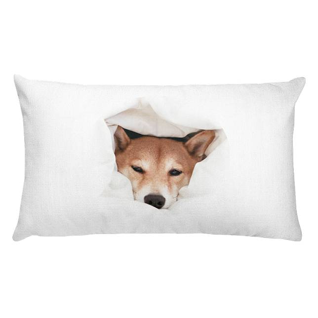 誰能比這隻 柴犬 更會穿 Ig爆紅穿搭神犬與nike推超狂聯名 Bella儂儂 Line Today