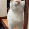 雑談部屋(ゲーム部屋)基本なんでもOK荒らし行為はダメ