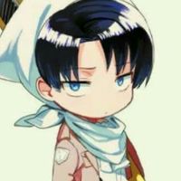 •_Attack on titan_