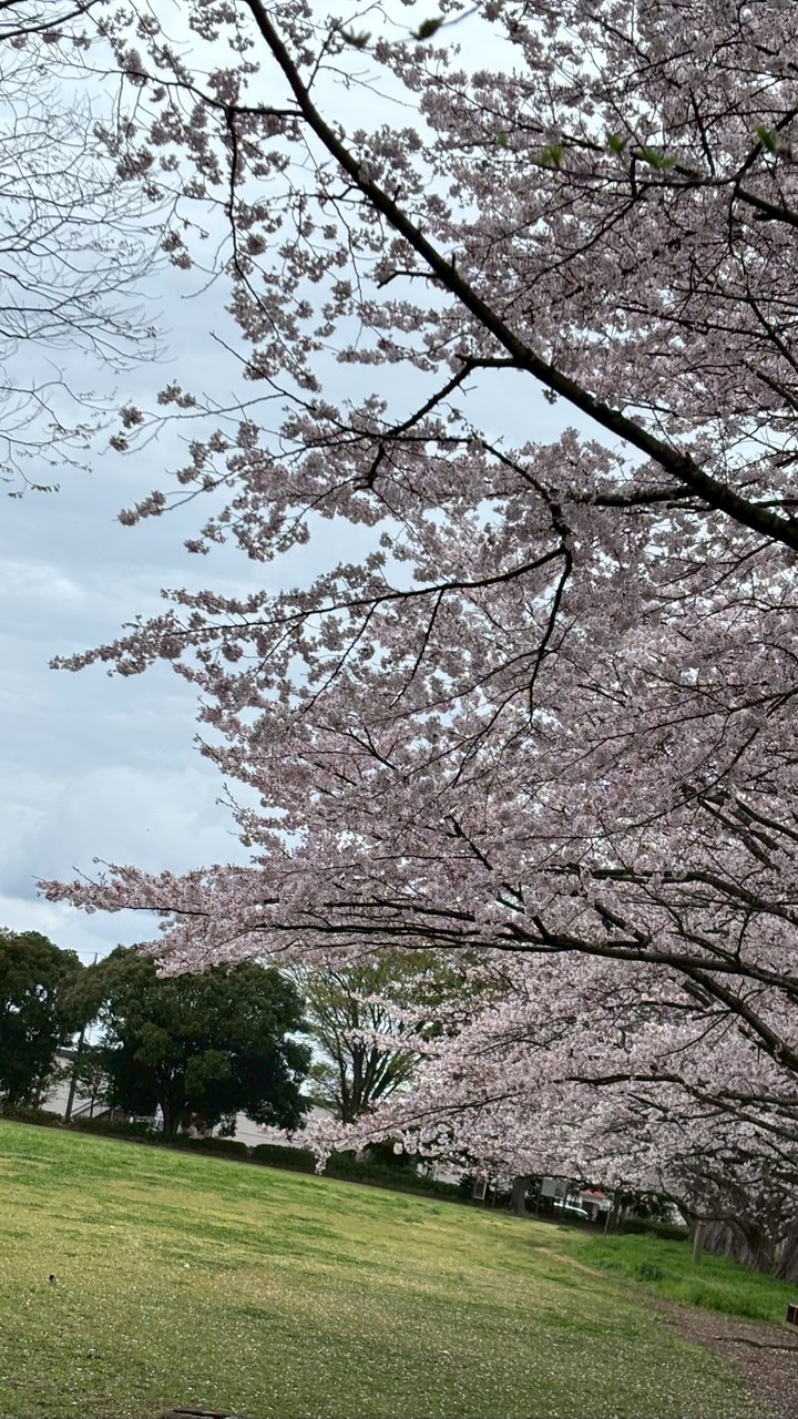 ‎みんな愉快な仲間たち