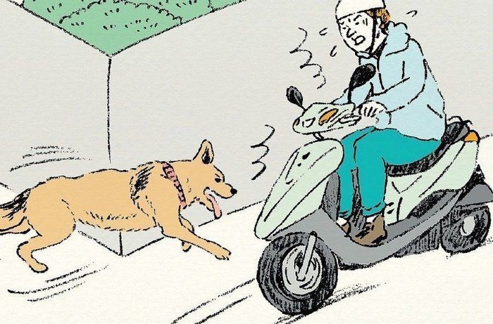 放し飼いの犬が飛び出し 原付自動車と接触事故 判決は