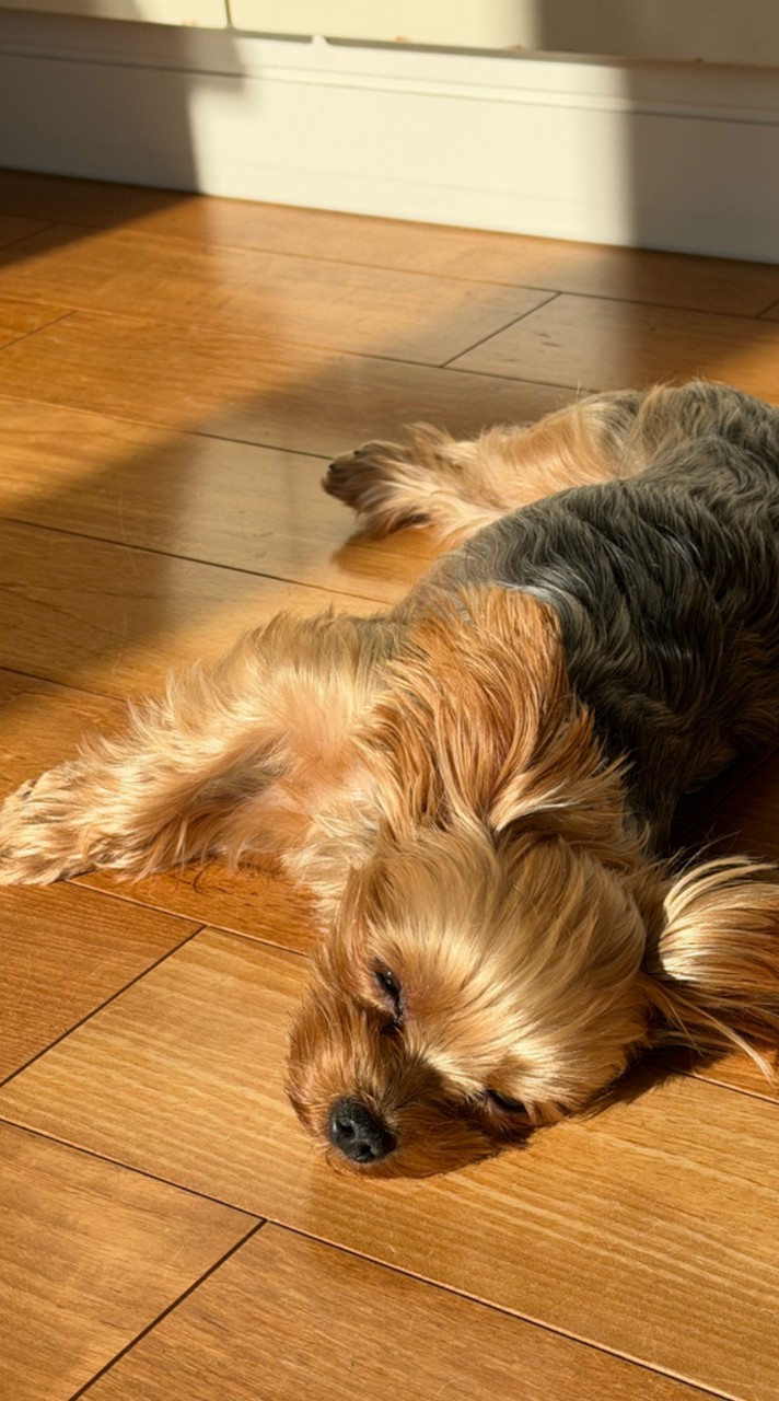 近藤真彦Matchy好きな人話そう🎵