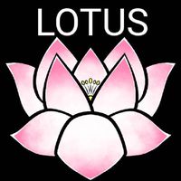 GOLD EA【LOTUS】FX自動売買