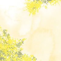 🌼メンタル雑談ライブトーク🌼