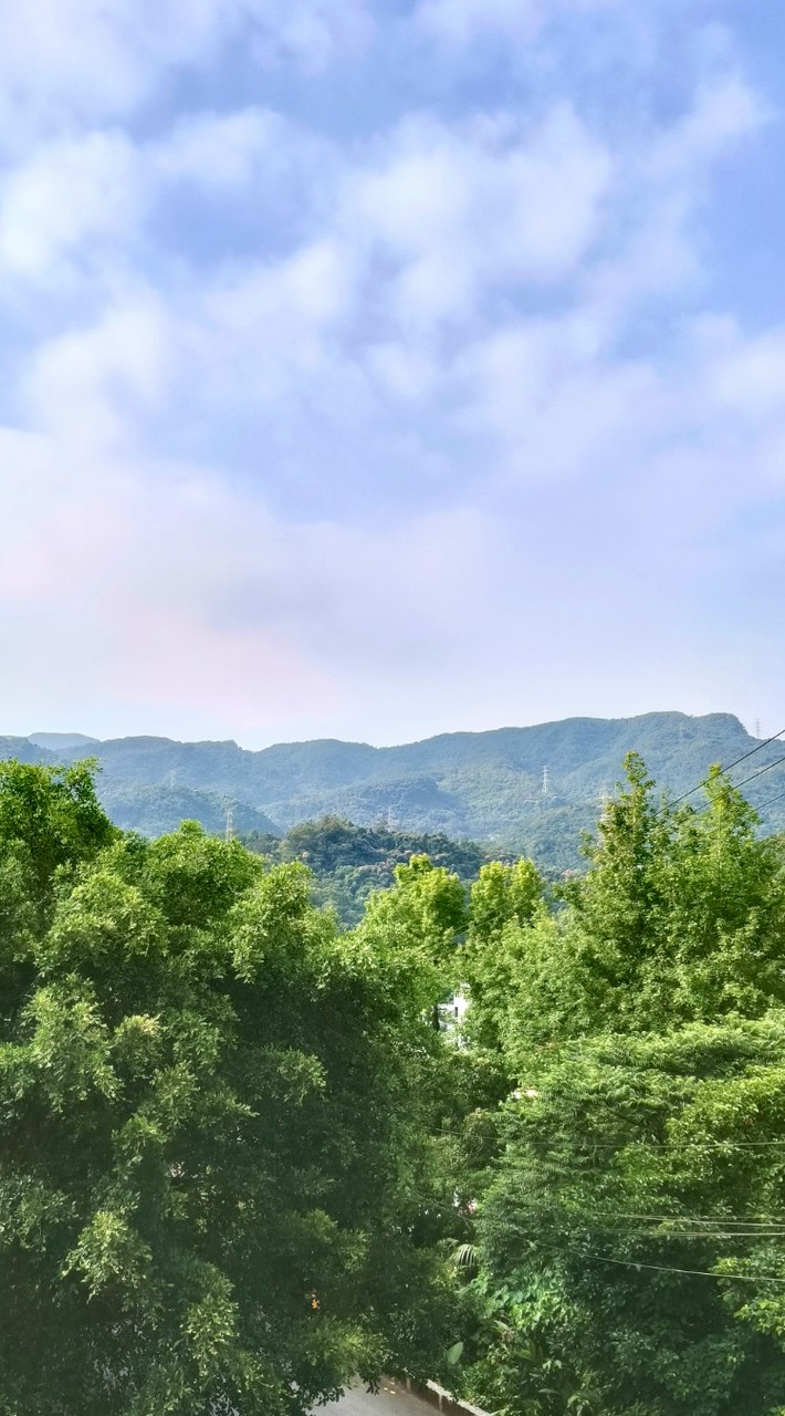 愛隊路輕旅行健走團