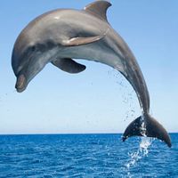 ひかるの仲間達♪