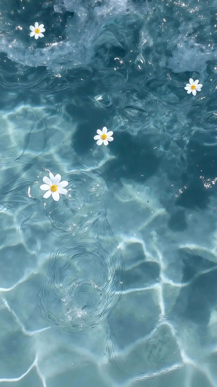 𓂂꒰𓈒♡🛒ִׂ𓂂 agent 𓈒landokmai ‎֯꒱݂ ݁𐄙