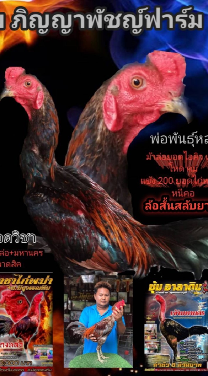 ซุ้ม TTTตอแดงเดือด