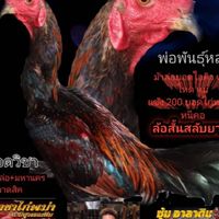 ซุ้ม TTTตอแดงเดือด
