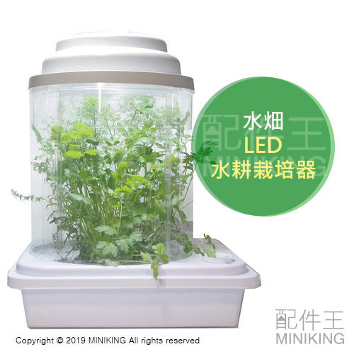 日本代購 空運 水畑 LED 水耕栽培機 種菜機 水耕機 家庭菜園 蔬菜 栽培 盆栽