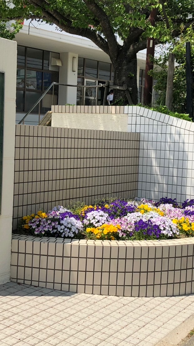 写真アルバム募集中_神戸高塚P