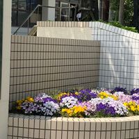写真アルバム募集中_神戸高塚P