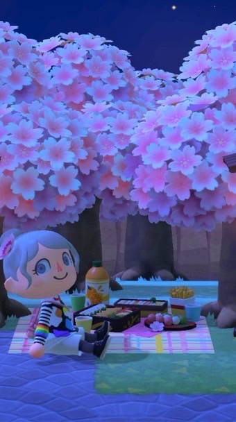 あつ森を楽しむオトナの会