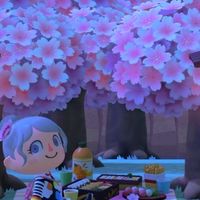 あつ森を楽しむオトナの会