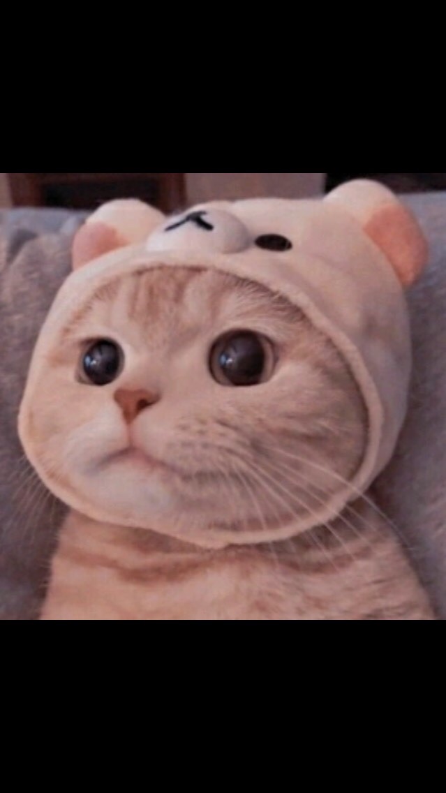 เพื่อนค่ะเพื่อน