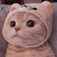 เพื่อนค่ะเพื่อน
