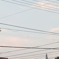 不登校、学校に行きたくない子、うつ病などの悩みや不安がある子達、嫌なこと沢山話そー