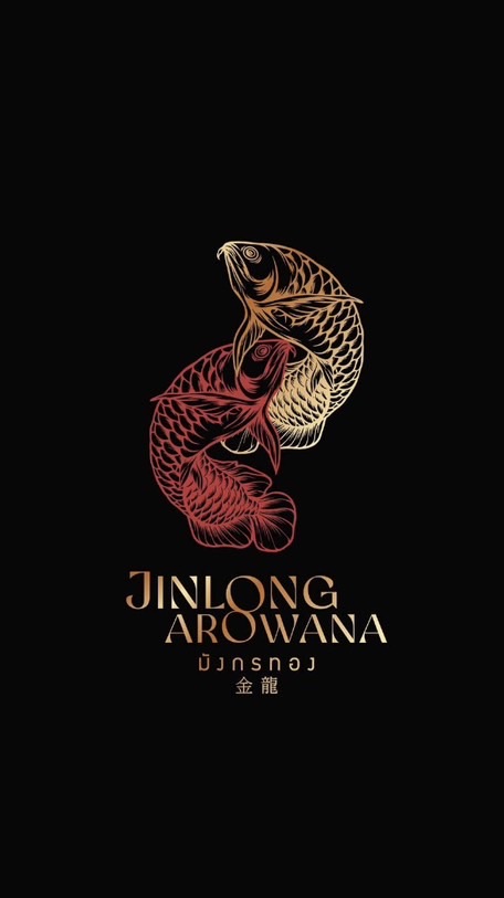 Jinlong Arowana  Export & Import