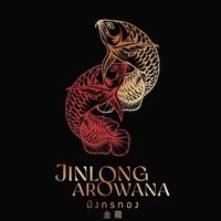 Jinlong Arowana  Export & Import
