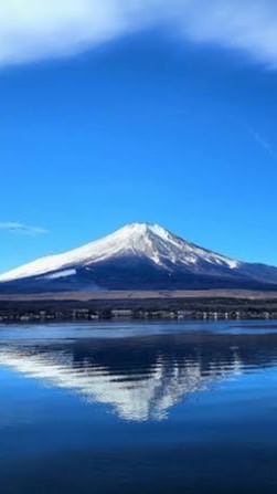 静岡交流コミュニティ会