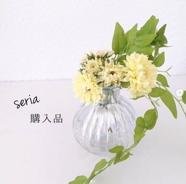 おうち時間 をめいっぱい活用 セリアの収納グッズ