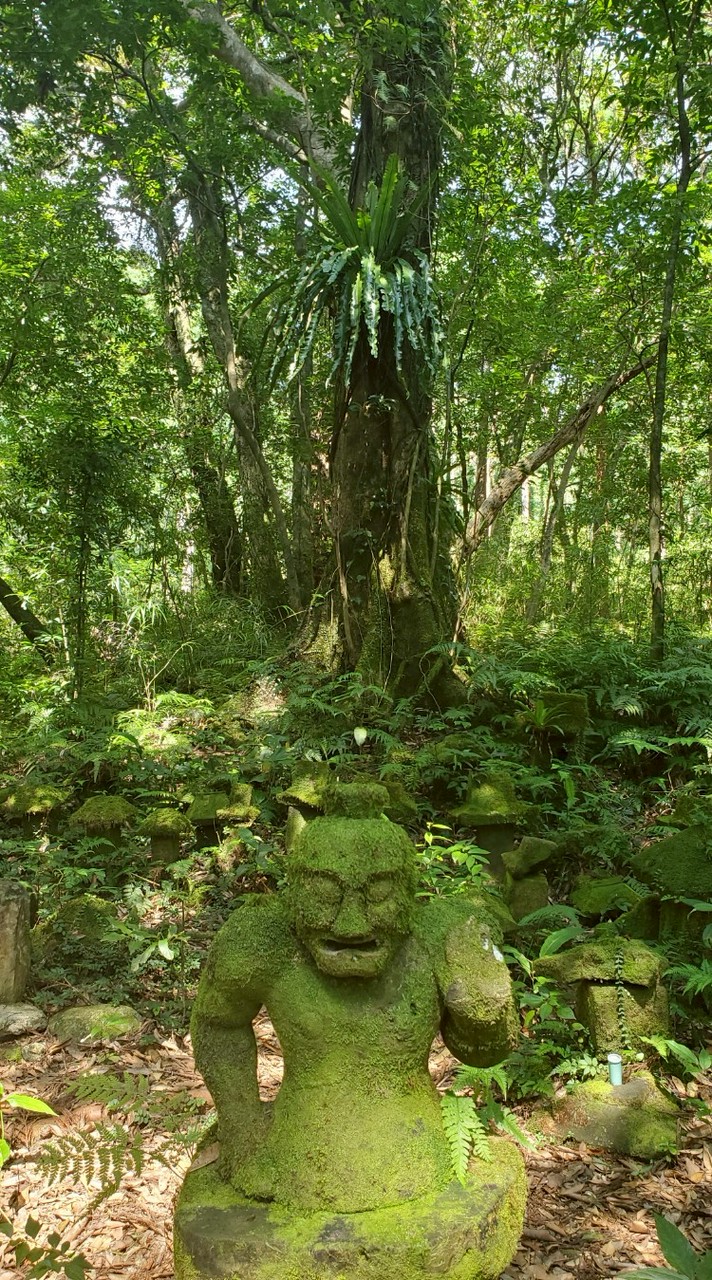 屋久島おかえりaroma