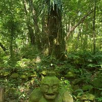 屋久島おかえりaroma
