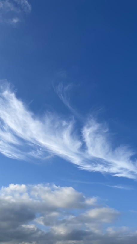 50 陽光同行🌞，樂活自在💫