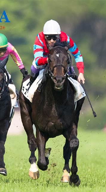 競馬で夢を見たい　神々の集いのオープンチャット