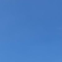 無料チャート分析垂れ流します