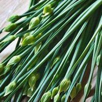 靠北菠菜圈討論（談天說地）