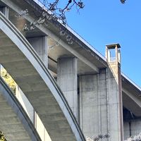 キャンプで繋がるでツナキャン