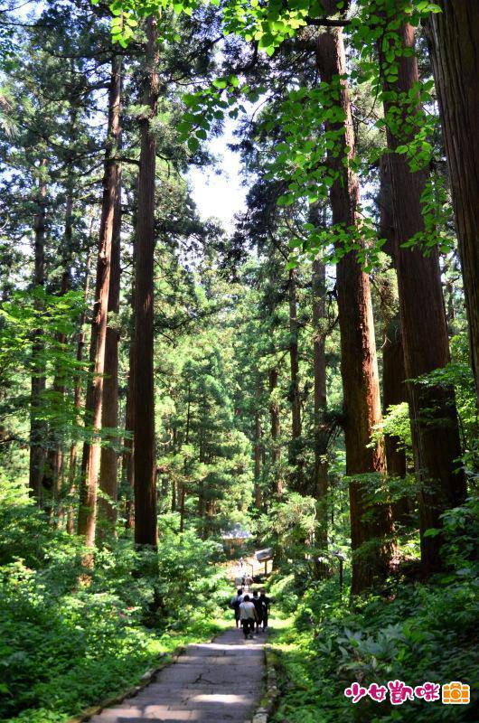 此生必去！日本山形縣庄內「重生之旅」 東北最古老佛塔150年首次開放 @去旅行新聞網