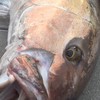 ジギング研究会
