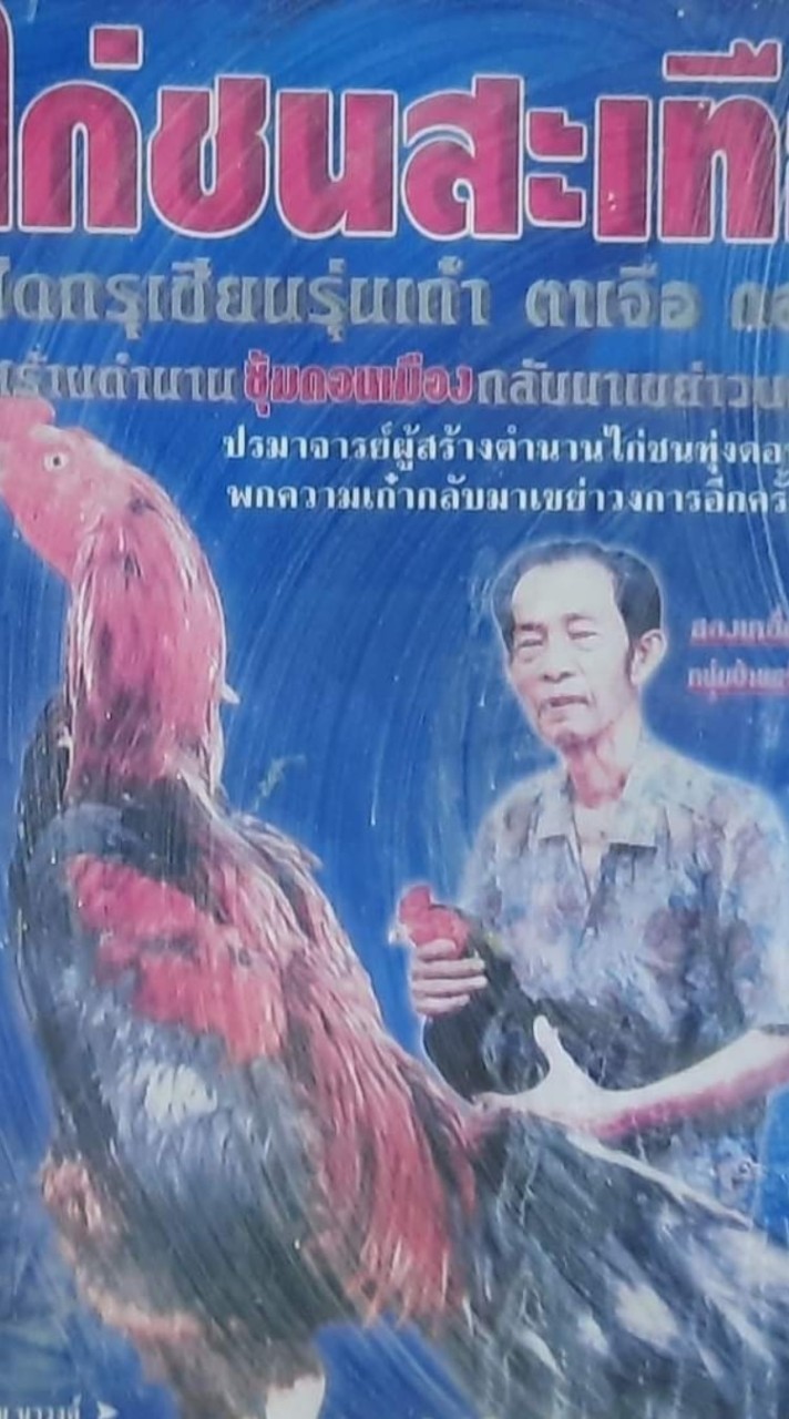 ดอนเมืองทีมไก่ชน