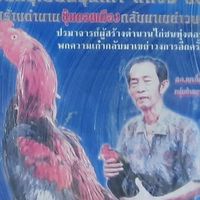 ดอนเมืองทีมไก่ชน