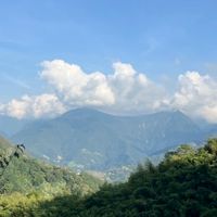 步光運動和旅行Step With Light